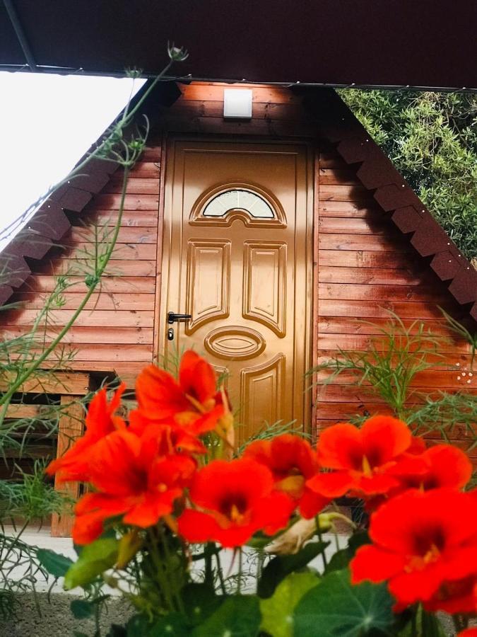 Violet Village Borsh Exterior foto